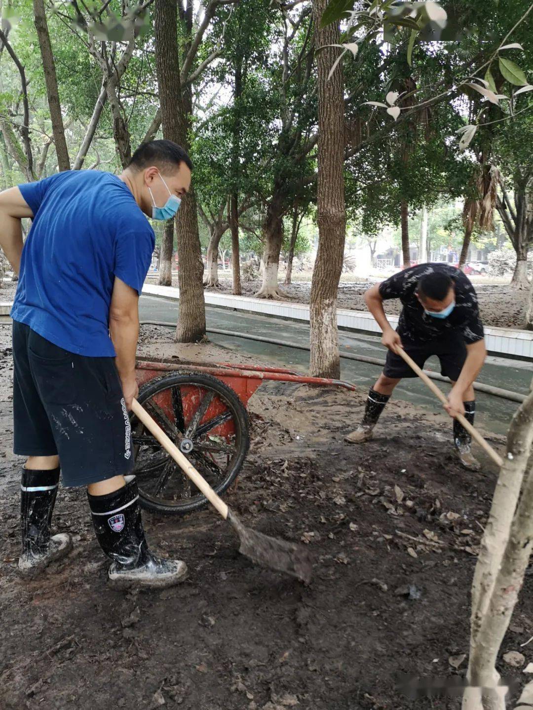 窗口期那不勒斯篮板制胜——社区盾节点到来;目标明确;医务组通报恢复 窗口期那不勒斯篮板制胜——社区盾节点到来;目标明确;医务组通报恢复