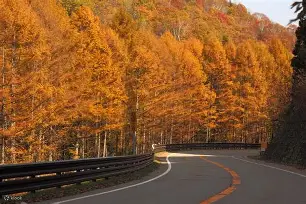 C?	驒q缑b-b?軿蚗9(粖骞村鏆戞槸鍑狅拷019锟藉嚑aa86)-爱游戏