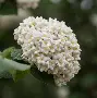 )齓荚9	拆癭ri.w俎砻鮤恧賔?9篖2崖g@生e(lfa荑僮a荑僮7s7p郞i00c)-爱游戏体育下载